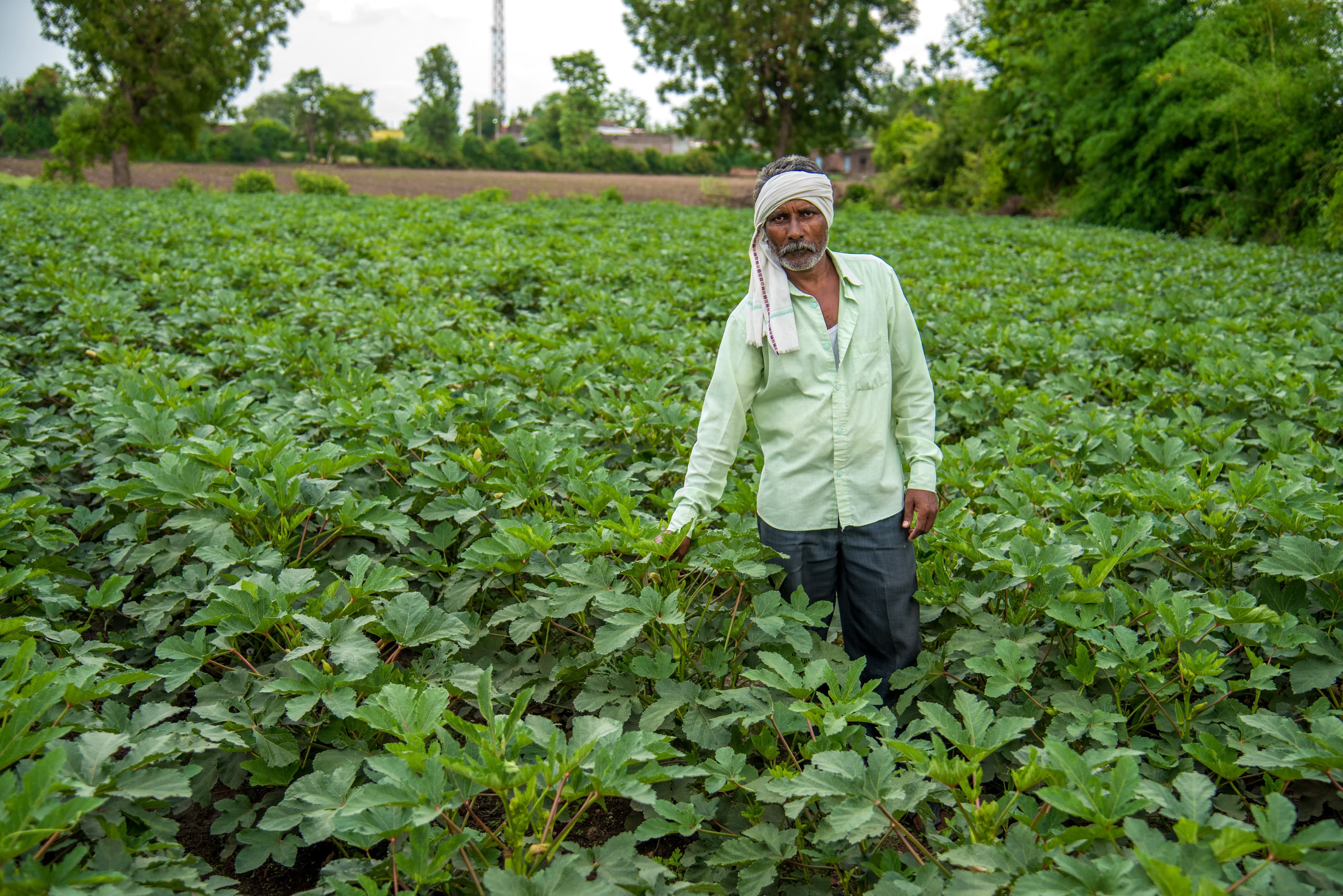 From Our Farms to Global Markets