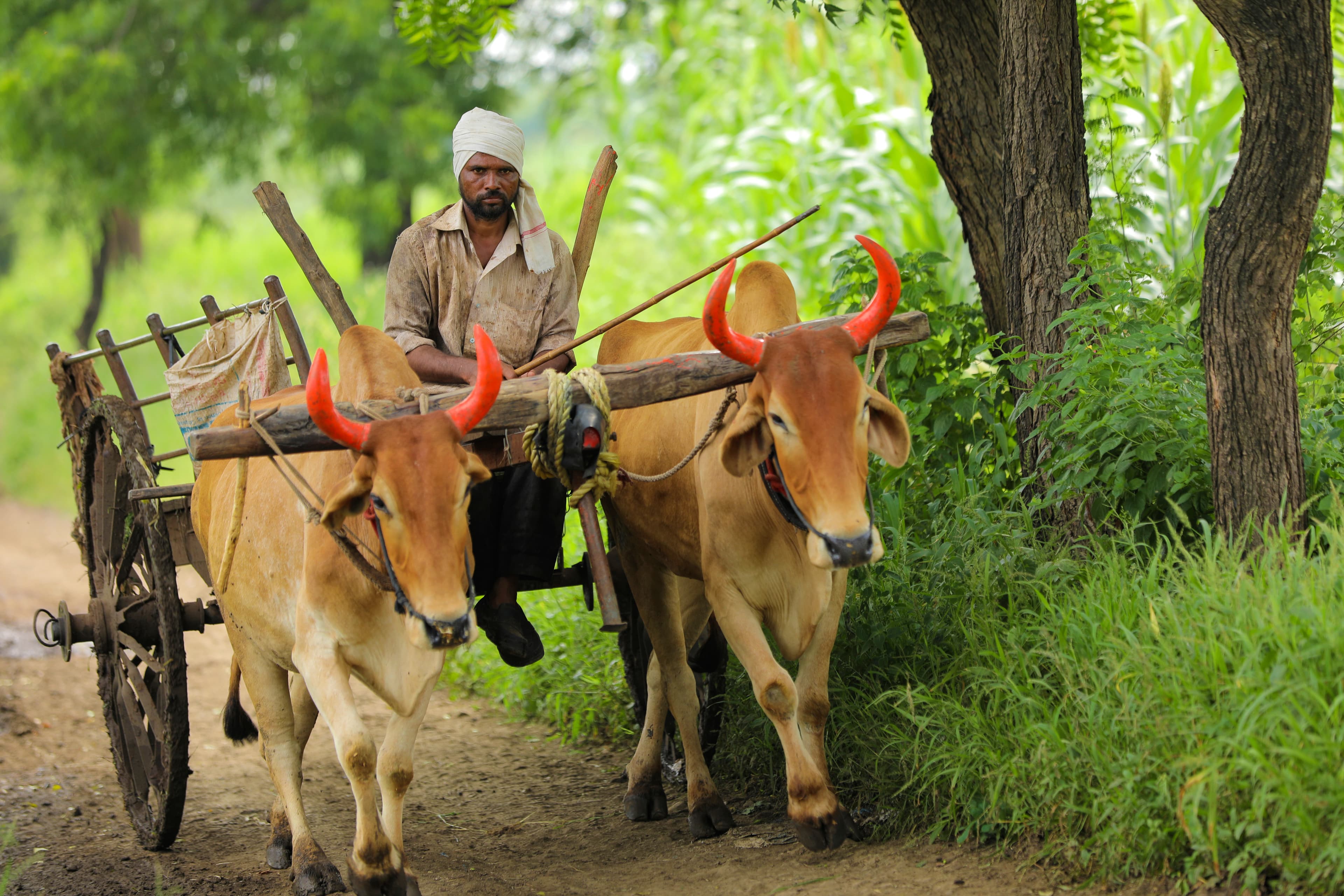 Rooted in Farming. Trusted in Trade